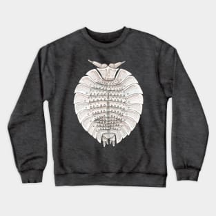 Coatonia phylloniscoides Isopod Crewneck Sweatshirt